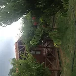 Salkim Konak Ve Agac Evler
