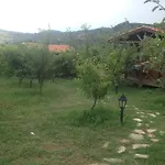 Vendégház Salkim Konak Ve Agac Evler Selçuk