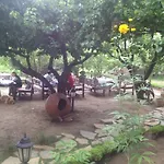 Vendégház Salkim Konak Ve Agac Evler Selçuk