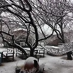 Salkim Konak Ve Agac Evler * Selçuk