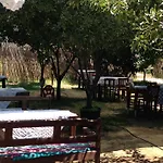 Salkim Konak Ve Agac Evler Vendégház Selçuk