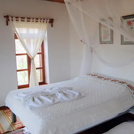 Salkim Konak Ve Agac Evler