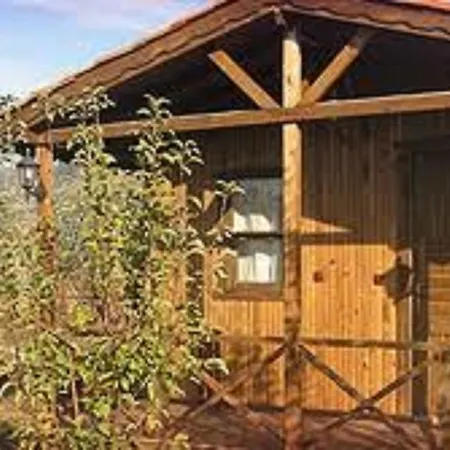 Gasthuis Salkim Konak Ve Agac Evler Selçuk