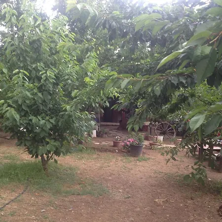 Salkim Konak Ve Agac Evler Selcuk