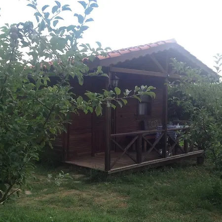 Salkim Konak Ve Agac Evler