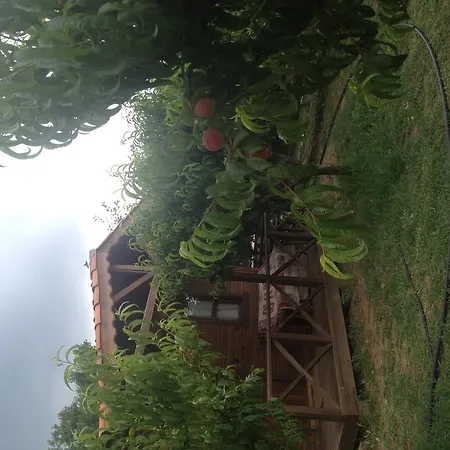 Salkim Konak Ve Agac Evler