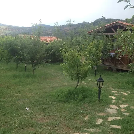 Gasthuis Salkim Konak Ve Agac Evler Selçuk