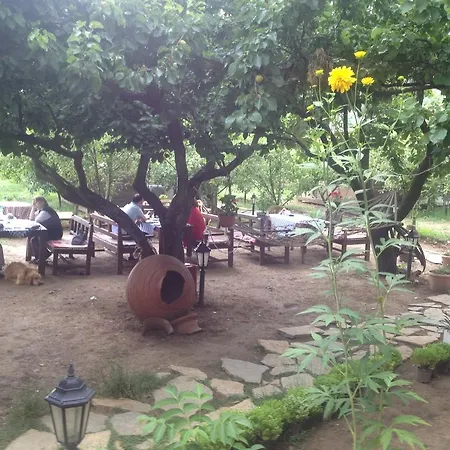 Gasthuis Salkim Konak Ve Agac Evler Selçuk