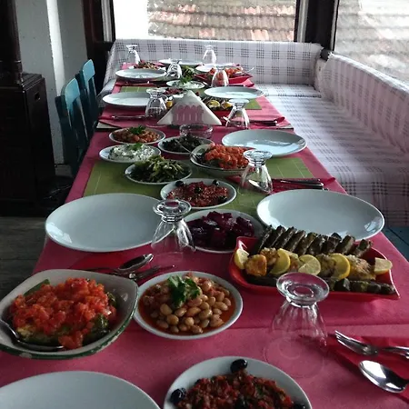 Salkim Konak Ve Agac Evler Penzion *