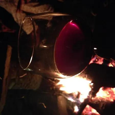 Salkim Konak Ve Agac Evler Gasthuis Selçuk