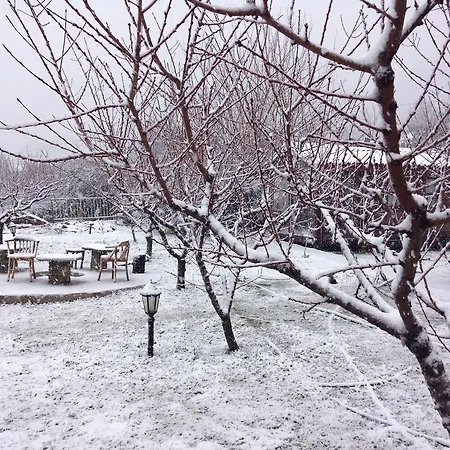 Salkim Konak Ve Agac Evler Selçuk