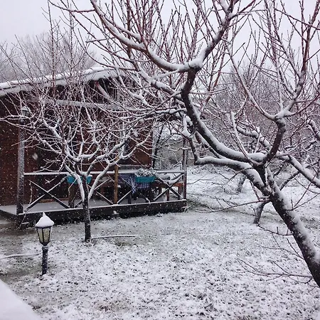 Salkim Konak Ve Agac Evler Guest house
