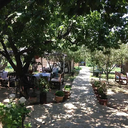 Salkim Konak Ve Agac Evler Selçuk