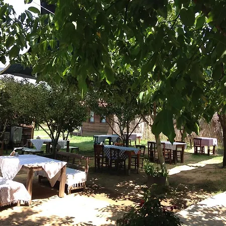 Salkim Konak Ve Agac Evler Guest house