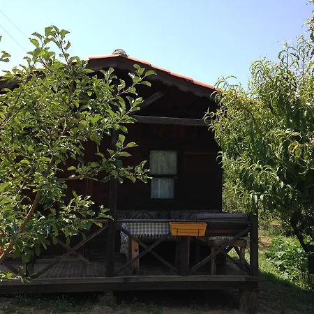 Gasthuis Salkim Konak Ve Agac Evler Selçuk