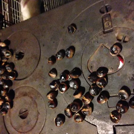 Salkim Konak Ve Agac Evler Selçuk