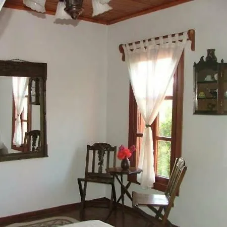 Salkim Konak Ve Agac Evler Gasthuis Selçuk