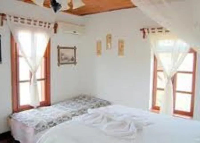 Πανσιόν Salkim Konak Ve Agac Evler