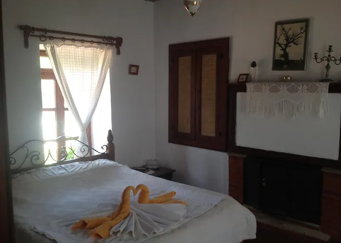 Salkim Konak Ve Agac Evler Σελτσούκ