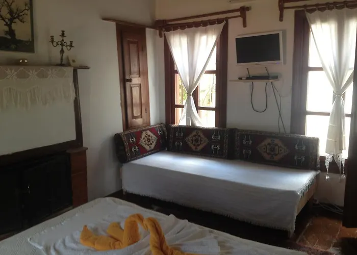 Salkim Konak Ve Agac Evler Σελτσούκ