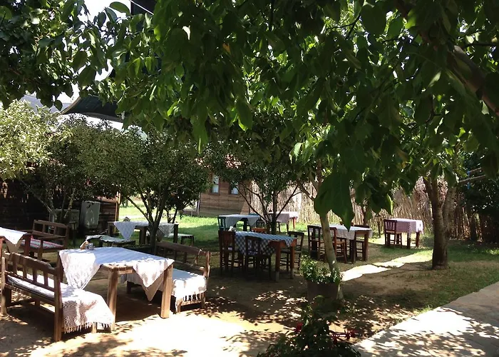 Salkim Konak Ve Agac Evler Πανσιόν