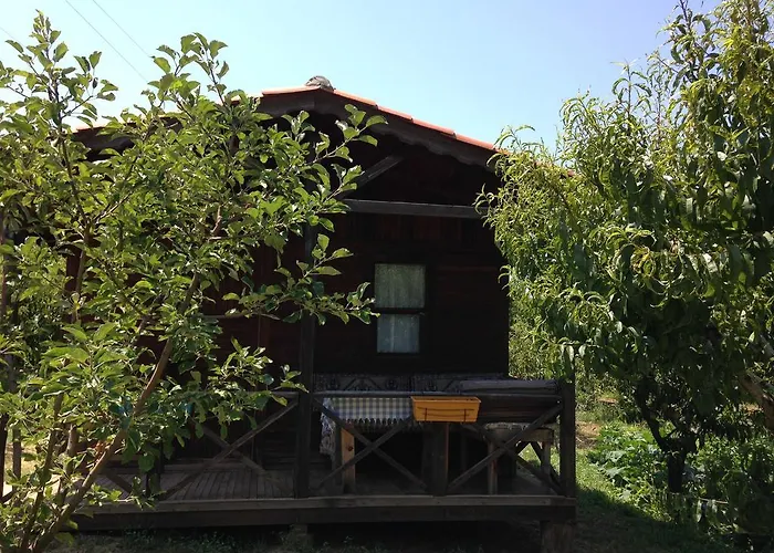 Πανσιόν Salkim Konak Ve Agac Evler Σελτσούκ