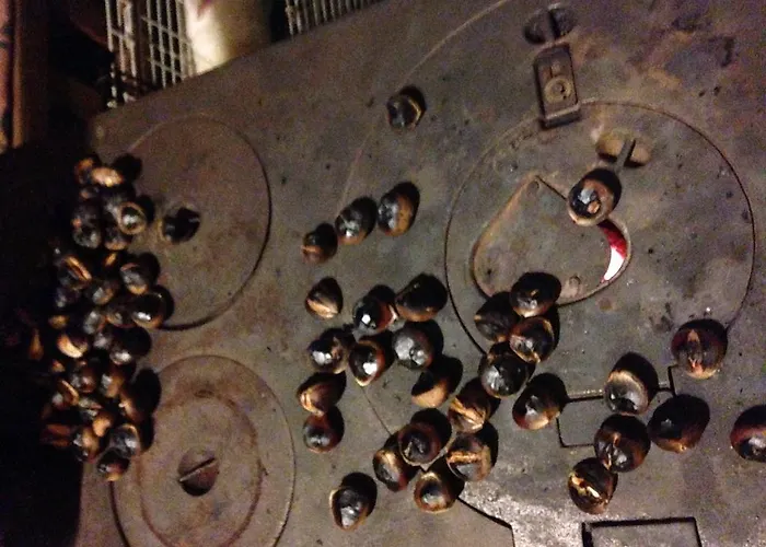 Salkim Konak Ve Agac Evler Σελτσούκ