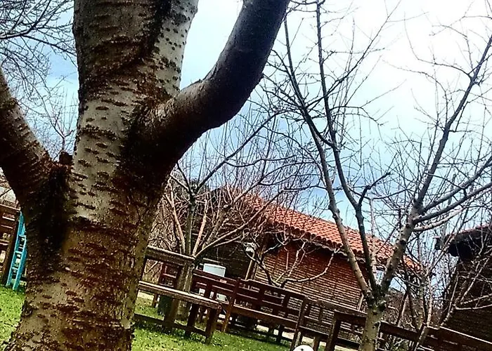 Salkim Konak Ve Agac Evler *