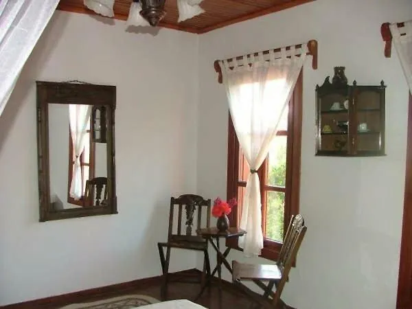 Salkim Konak Ve Agac Evler Πανσιόν Σελτσούκ