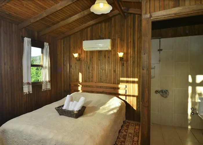 Salkim Konak Ve Agac Evler * Σελτσούκ