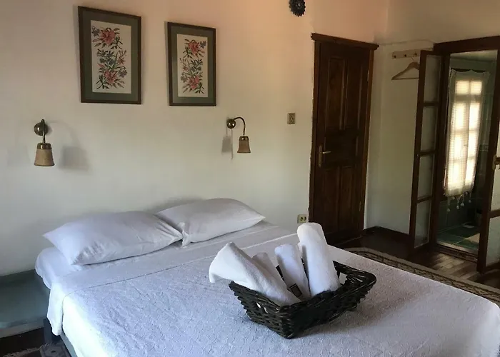 Salkim Konak Ve Agac Evler Πανσιόν