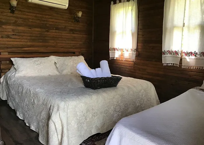 Salkim Konak Ve Agac Evler Σελτσούκ