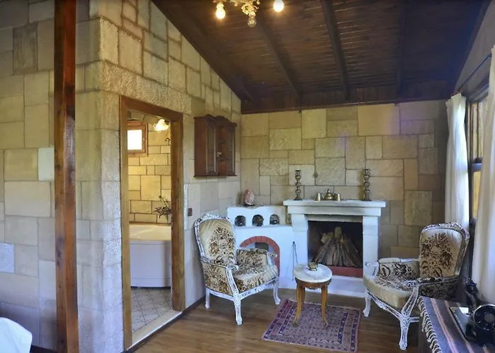 Πανσιόν Salkim Konak Ve Agac Evler *