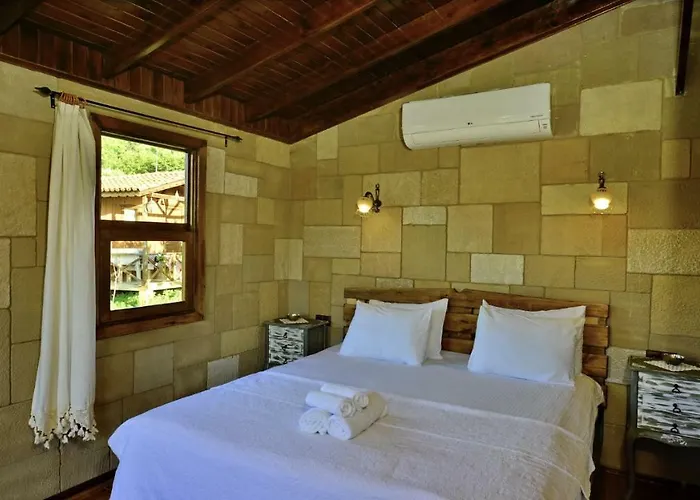 Salkim Konak Ve Agac Evler