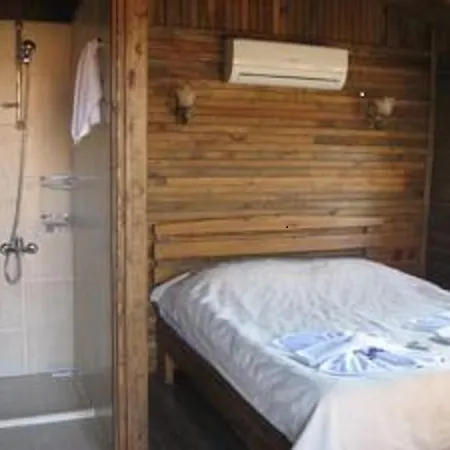 Salkim Konak Ve Agac Evler סלצ'וק