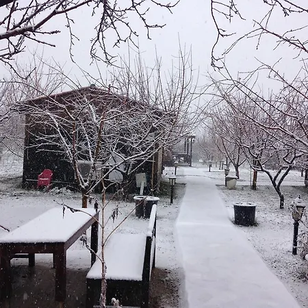 Salkim Konak Ve Agac Evler בית הארחה סלצ'וק