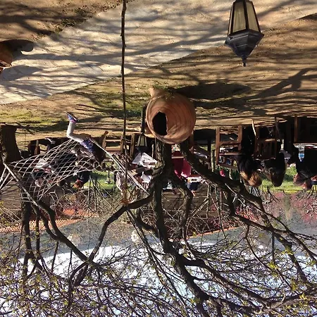 Salkim Konak Ve Agac Evler * Selcuk