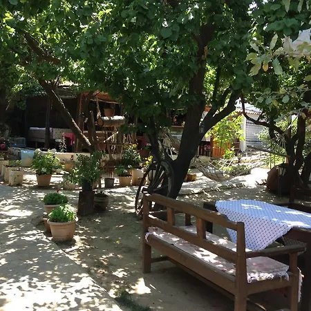 Salkim Konak Ve Agac Evler *