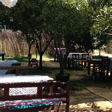 Salkim Konak Ve Agac Evler Konukevi Selçuk