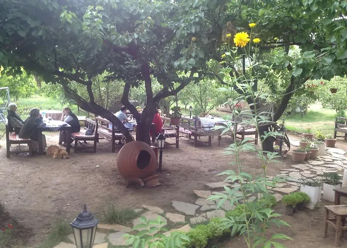 Konukevi Salkim Konak Ve Agac Evler Selçuk