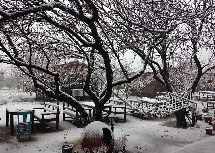 Salkim Konak Ve Agac Evler * Selçuk