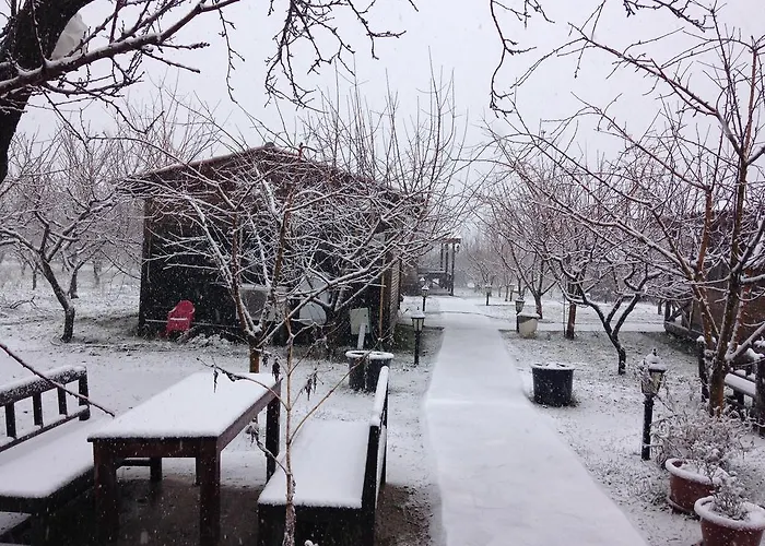 Salkim Konak Ve Agac Evler Konukevi Selçuk