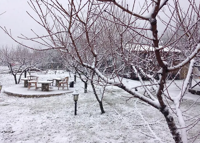 Salkim Konak Ve Agac Evler Selçuk