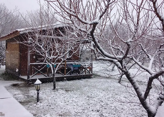 Salkim Konak Ve Agac Evler Konukevi