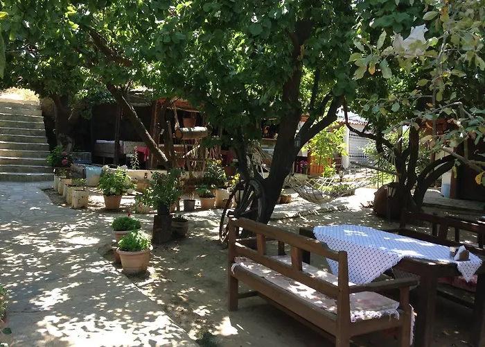 Salkim Konak Ve Agac Evler *