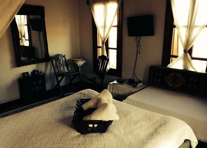 Salkim Konak Ve Agac Evler Konukevi