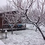 Salkim Konak Ve Agac Evler Guest house