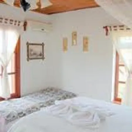 ゲストハウス Salkim Konak Ve Agac Evler