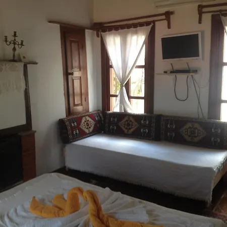 Salkim Konak Ve Agac Evler セルチュク