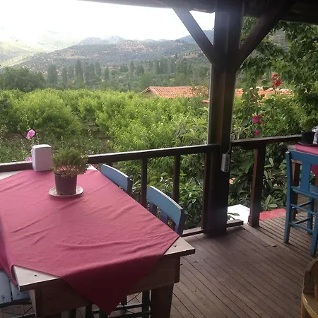 Salkim Konak Ve Agac Evler *